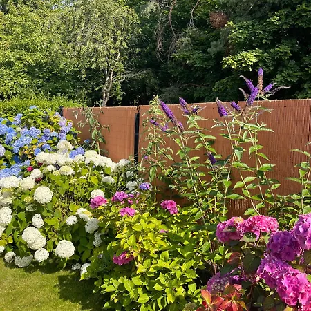 Lamar Cetniewo منزل للإقامة *