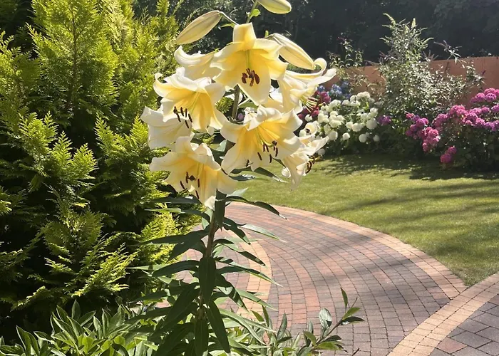 منزل للإقامة Lamar Cetniewo Władysławowo