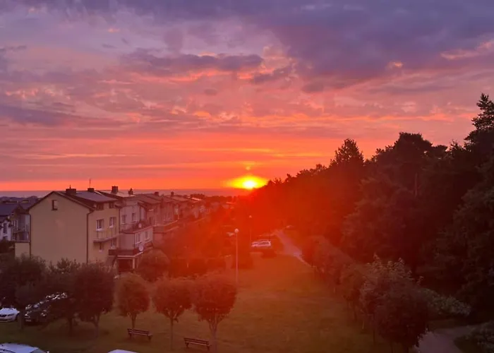 منزل للإقامة Lamar Cetniewo